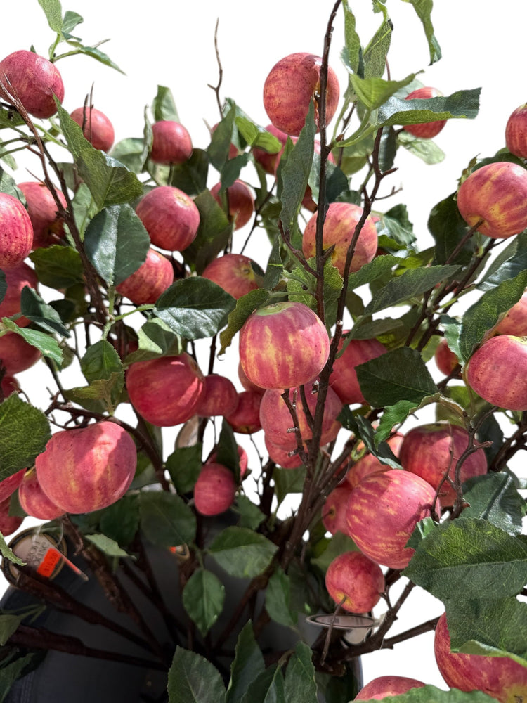 Crab Apple Spray Branch