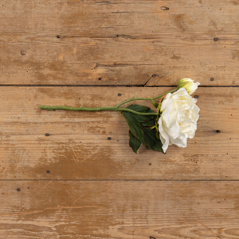 Cream Peony Stem Spray