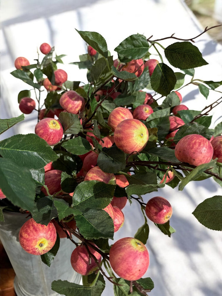 Crab Apple Spray Branch
