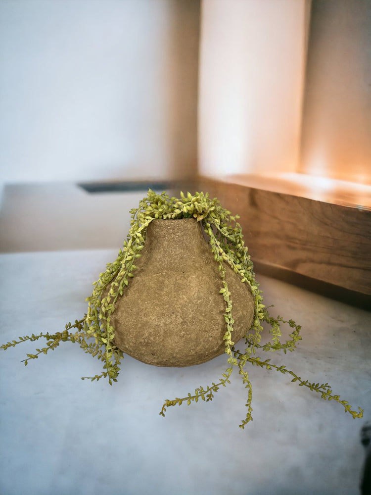 Trailing Succulent Necklace Plant