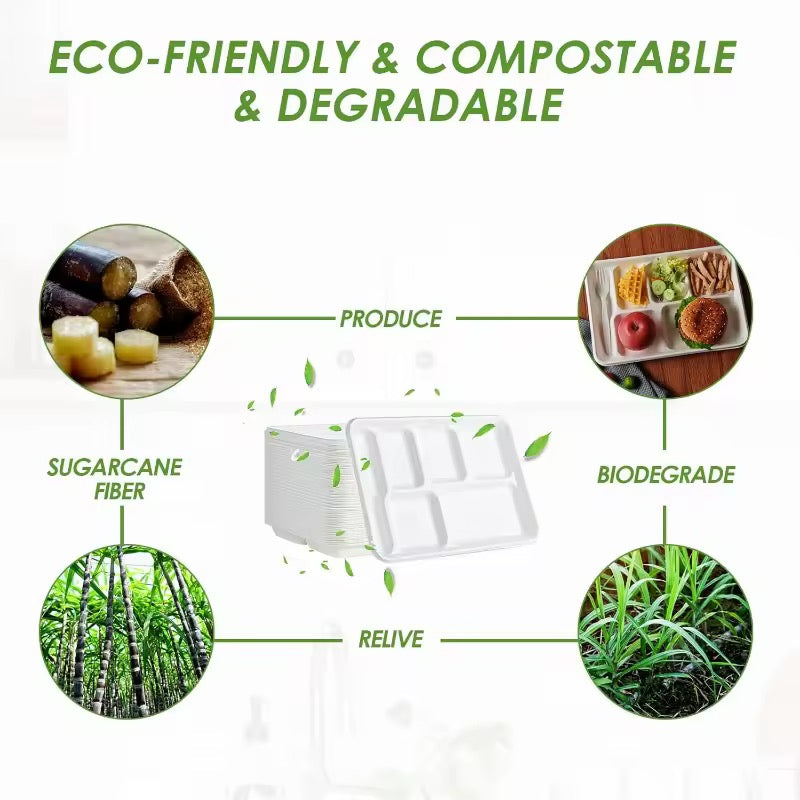 100% Compostable 6 Compartment Plates - Disposable 12.5 Inch 90-Pack