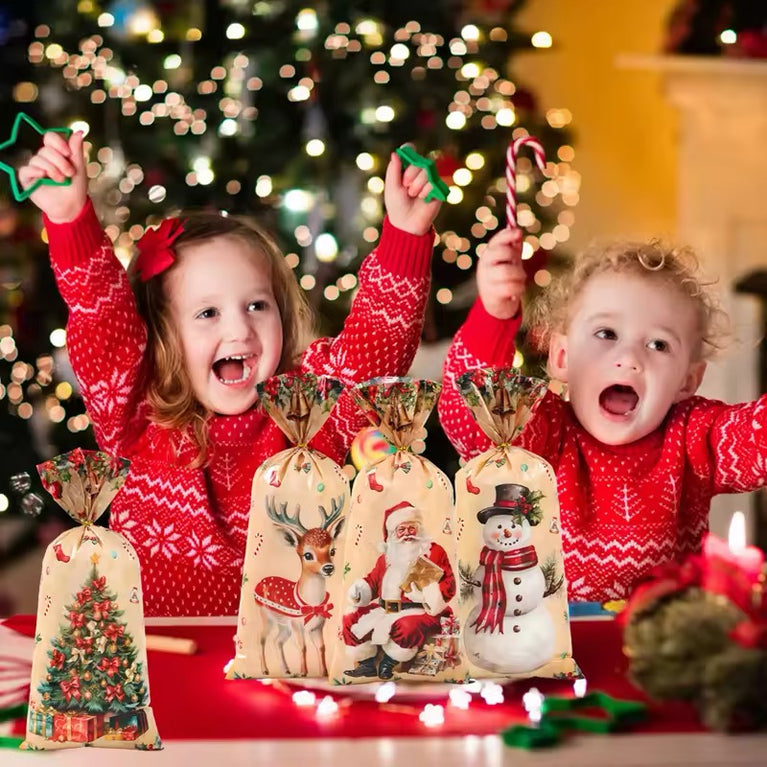 Christmas goodie bags