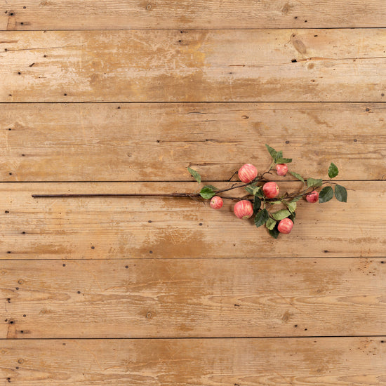 Crab Apple Spray Branch