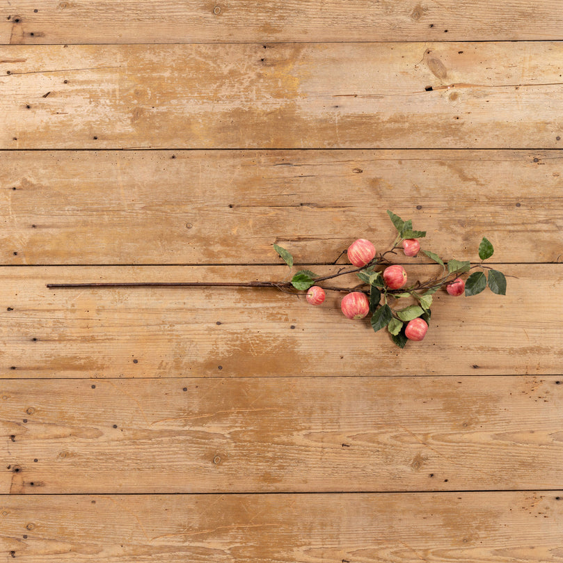 Crab Apple Spray Branch