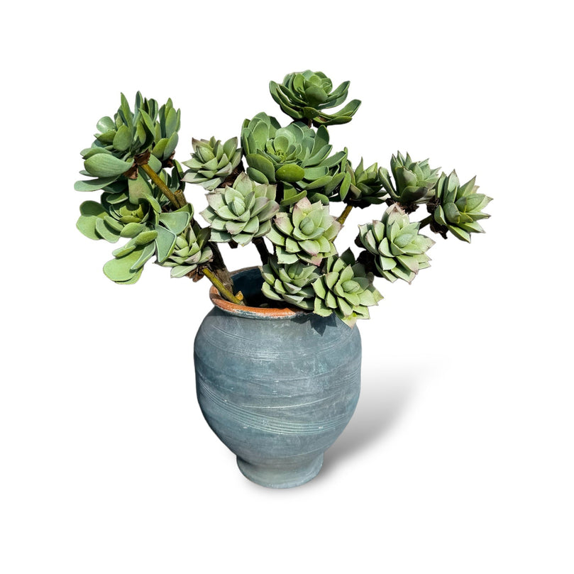 Faux Succulent Branches