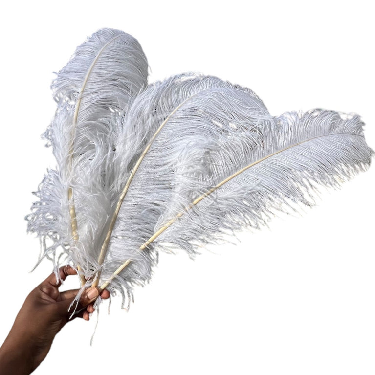 White Ostrich Feathers | 27-29" Imitation Feathers For Decor