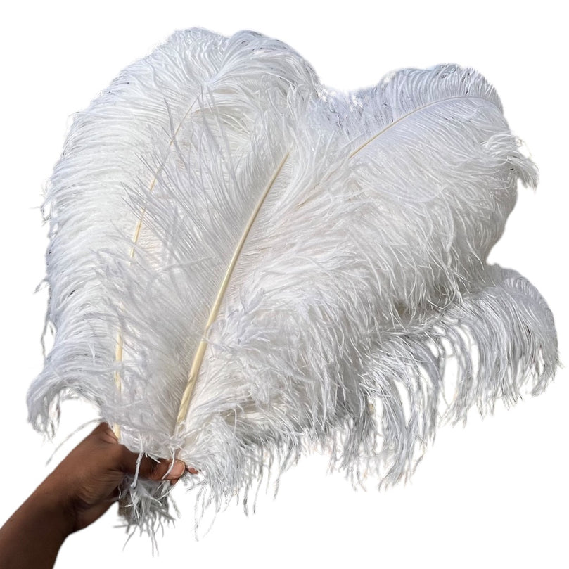 White Ostrich Feathers | 27-29" Imitation Feathers For Decor