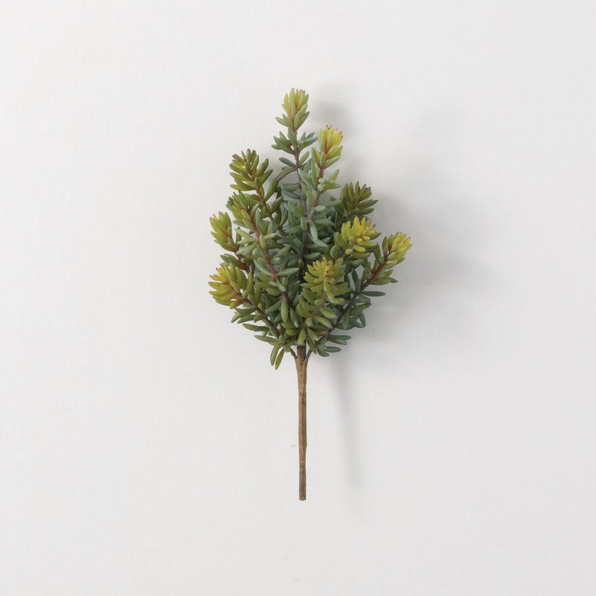 Textured Green Succulent Pick