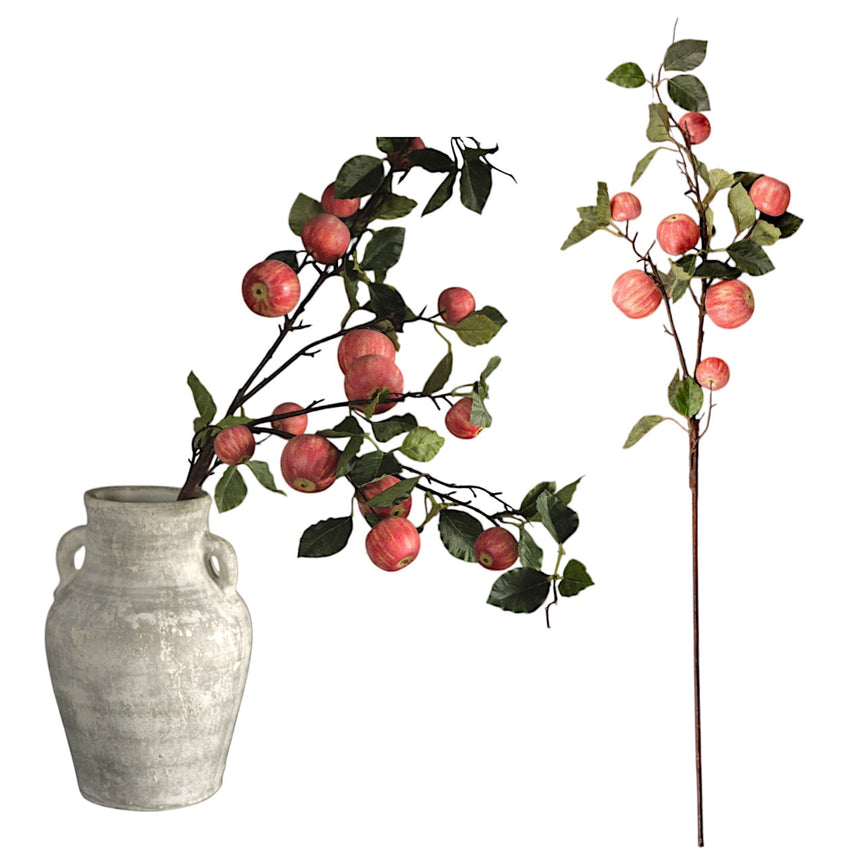 Crab Apple Spray Branch