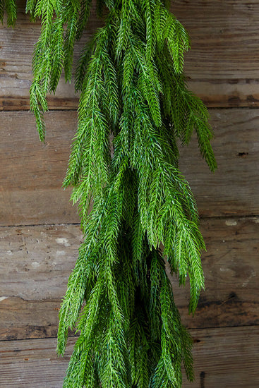 60'' Real Touch Norfolk Pine Christmas Garland